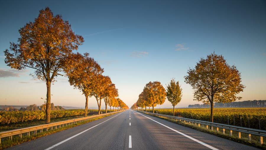 Le marché de l'automobile dans le rouge en juillet également